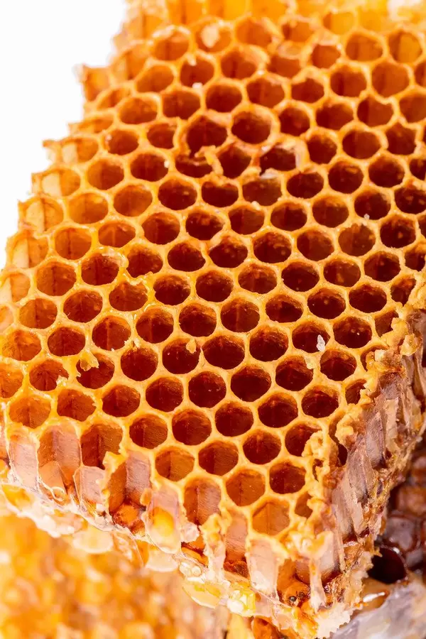 Nahaufnahme von einer Bienenwabe