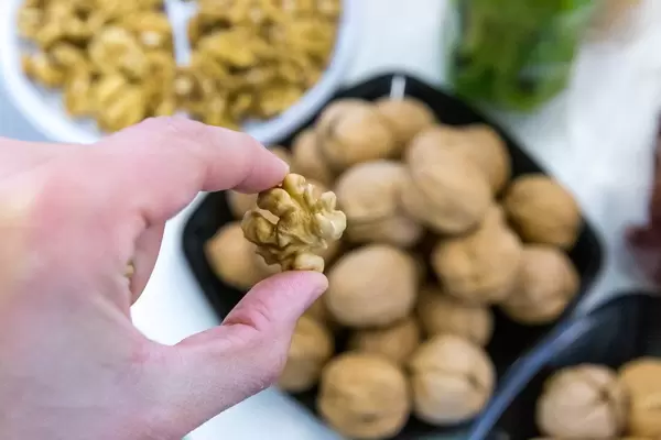 Nahaufnahme von einer geschälten Walnuss in der Hand
