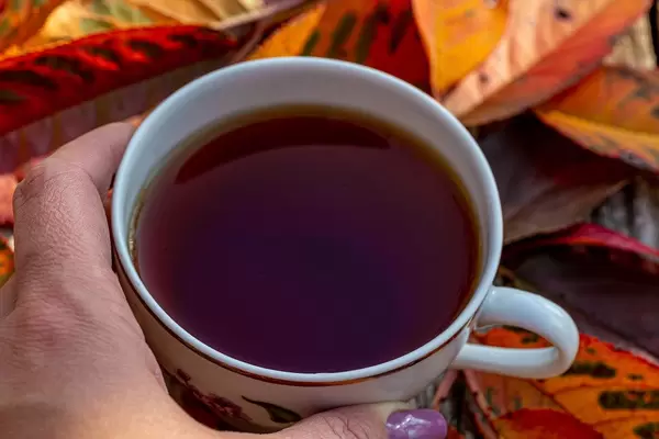 Nahaufnahme von einer Tasse Tee in weiblicher Hand mit bunten Herbstblättern im Hintergrund