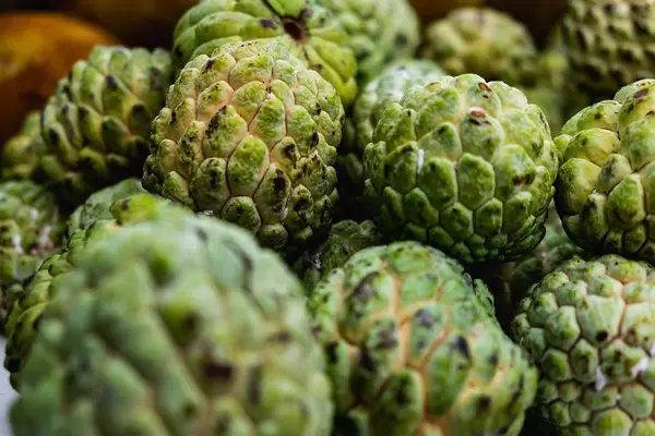 Nahaufnahme von exotischen Atis-Früchten aus den Philippinen