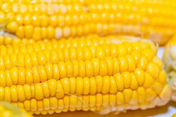 Nahaufnahme von Maiskolben mit deutlich sichtbaren Maiskörnern