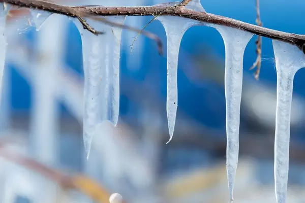 Nahaufnahme von mehreren Eiszapfen