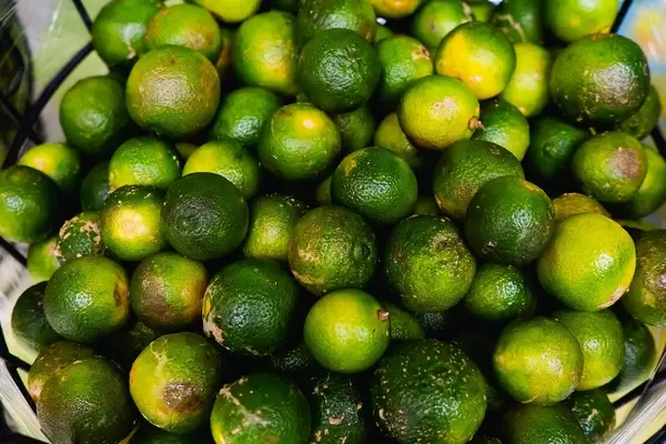Nahaufnahme von Philippinischen Zitronen bekannt als Calamansi