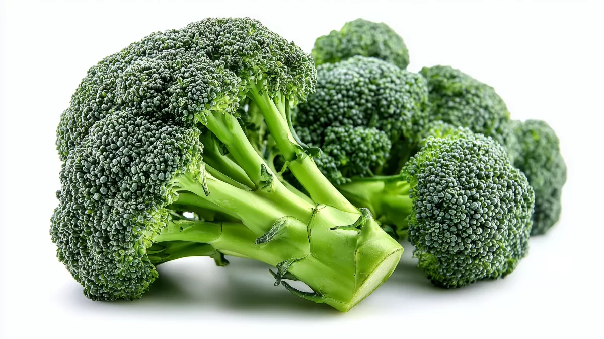 Nahaufnahme von saftigen grünen Brokkoli-Röschen