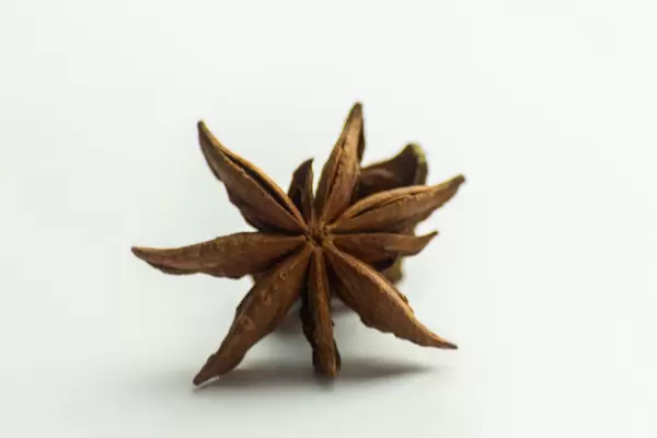 Nahaufnahme von Sternanis vor weißem Hintergrund