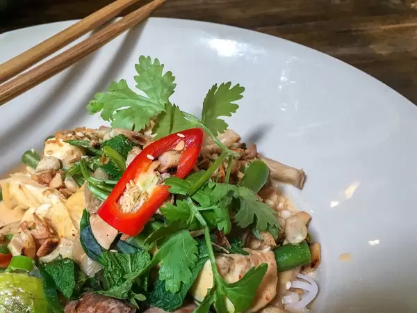 Nahaufnahme von veganes Tofu-Pilz Gericht mit grünes Topping auf weißem Teller