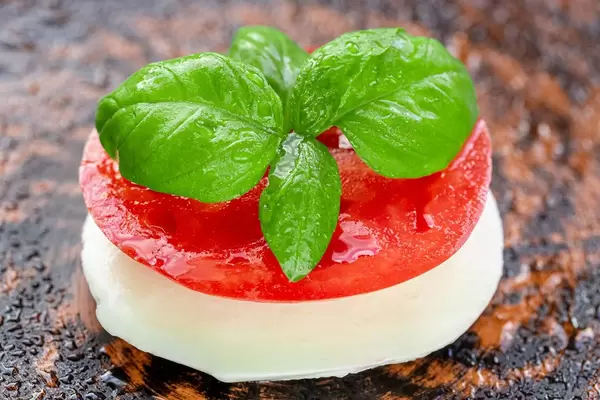 Nahaufnahme zeigt dekoratives Essen mit einer Scheibe Mozarellakäse, Tomatenscheibe und verziert mit grünen Basilikumblätter