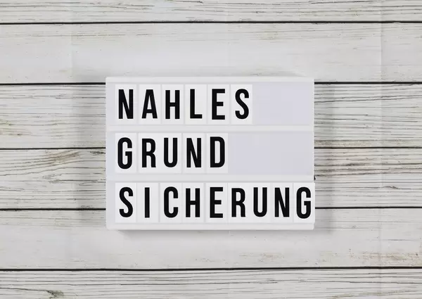 Nahles fordert Reformen: "Grundsicherung" statt Hartz IV