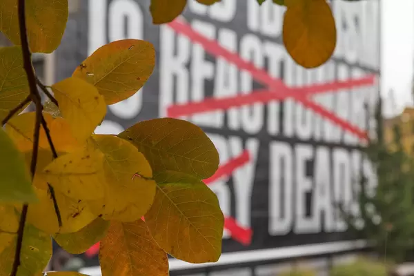 Nari Ward: Smart Tree