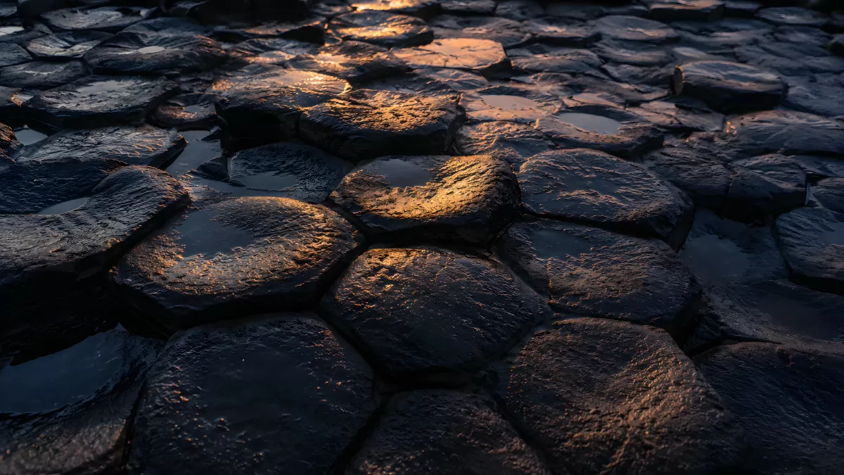 Nasse Basaltsäulen im goldenen Abendlicht