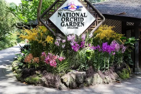 National Orchid Garden Singapore