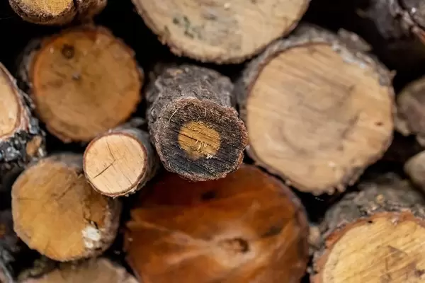Natur Holz Hintergrund - Feuerholz für den Winter gestapelt