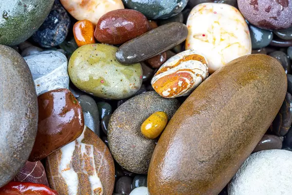 Natural background of wet multicolored sea stones (Flip 2019)