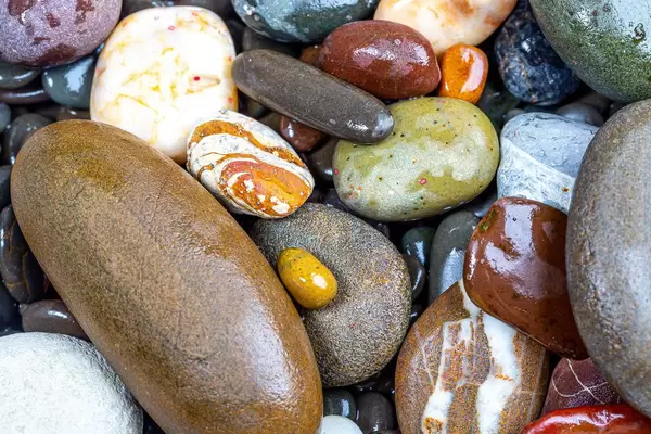 Natural background of wet multicolored sea stones