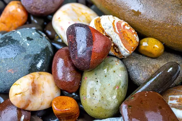 Natural wet colorful sea stones (Flip 2019)