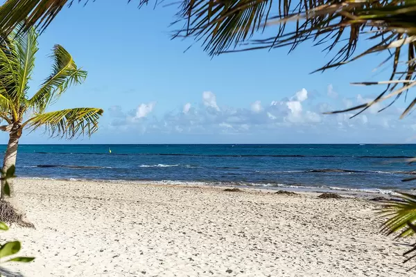 Nature Photo of White Sand Beach with Palm Trees in La Altagracia, Dominican Republic