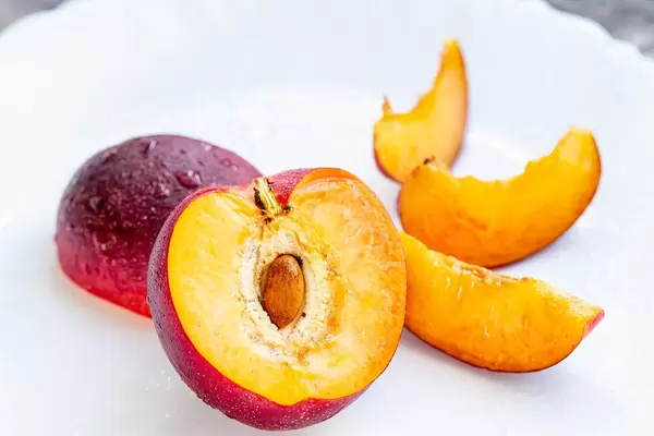 Nectarine fruit on the white background (Flip 2019) (Flip 2019)