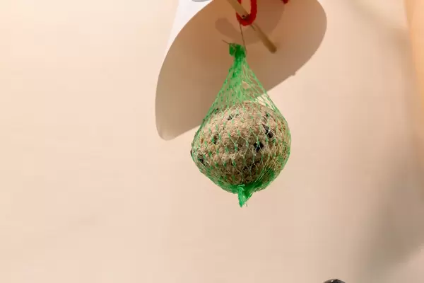 Netz mit Vogelfutter hängt an selbstgemachter Halterung vor weißer Wand