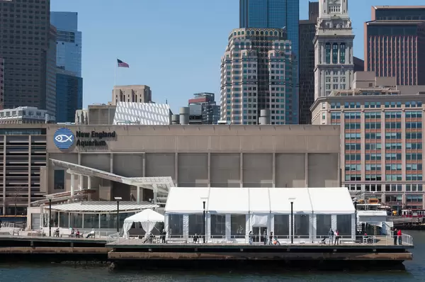 New England Aquarium