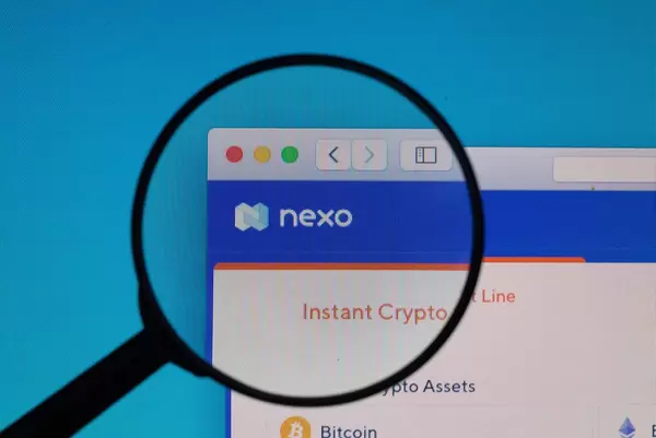Nexo logo under magnifying glass