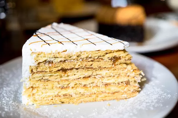 Nicely garnished piece of Chilean Cake