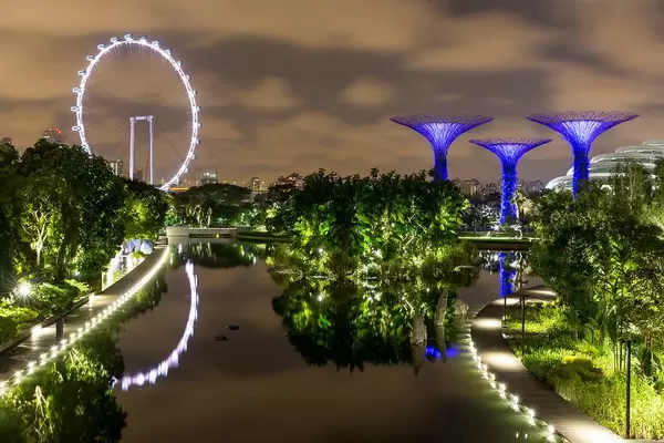 Night Photo of Singapore Downtown Core with Gardens By The Bay Supertree Grove and Ferries Wheel Singapore Flyer with Reflection in the Water