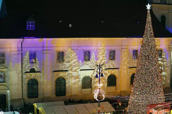 Night view of bug Christmas tree outdoors (Flip 2019)