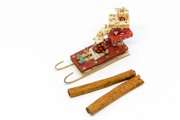 Nikolaus bringt Geschenke