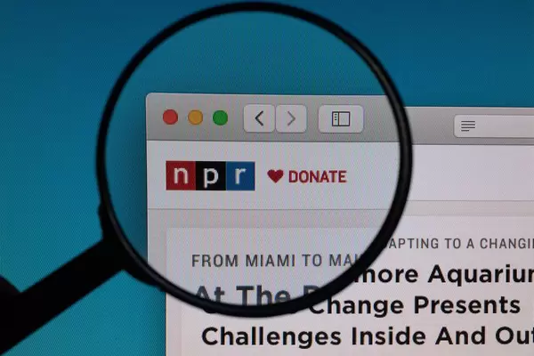 NPR logo under magnifying glass