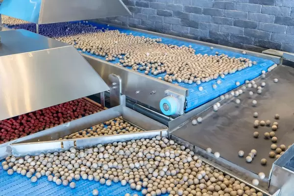 Nüsse auf dem Fließband in einer Nussfabrik