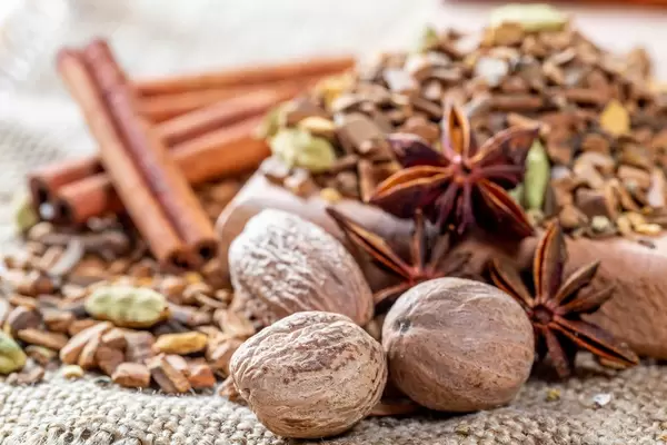 Nutmeg, cloves, cinnamon sticks, star anise and other spices, roots and bark in dried tea on burlap background