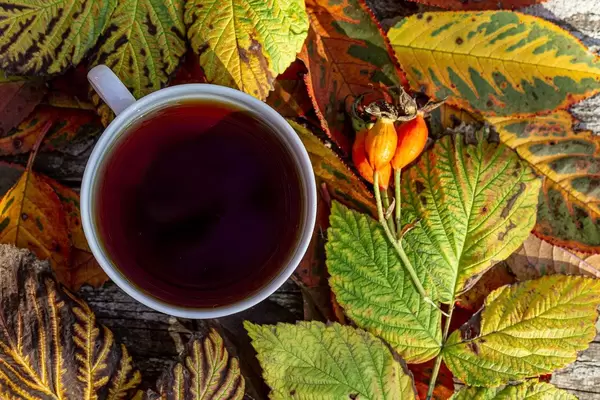 Obene Aufnahme von einer Tasse Tee mit bunten Herbstblättern im Hintergrund