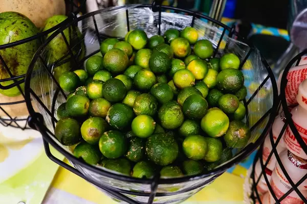 Obene Aufnahme von Philippinischen Zitronen bekannt als Calamansi in einem Metallkorb