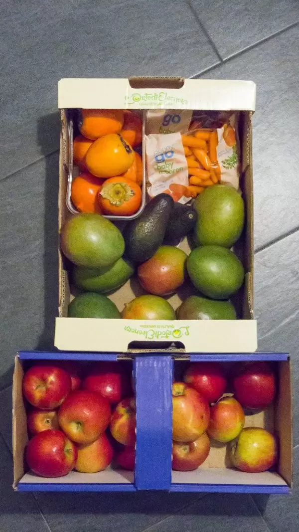 Obst in Kartonschachteln: Äpfel, Mango, Avocado, Kakipflaumen und Babymöhren