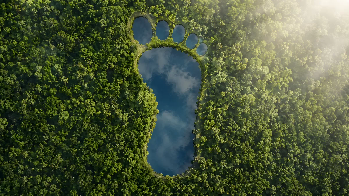 Ökologischer CO2-Fußabdruck