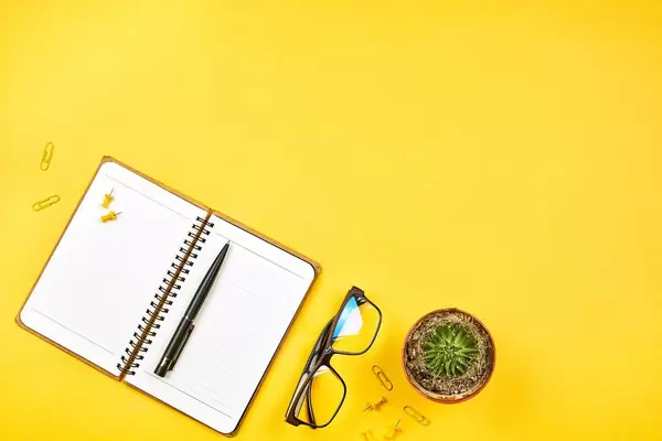 Office supplies with plant in pot