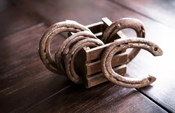 Old horseshoes on wooden box