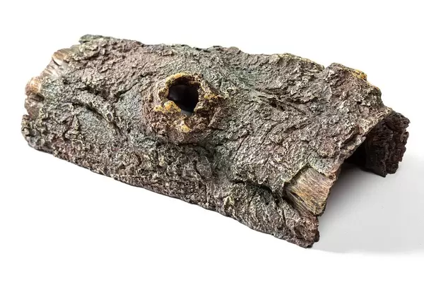 Old wood for aquarium decor on white background (Flip 2019)