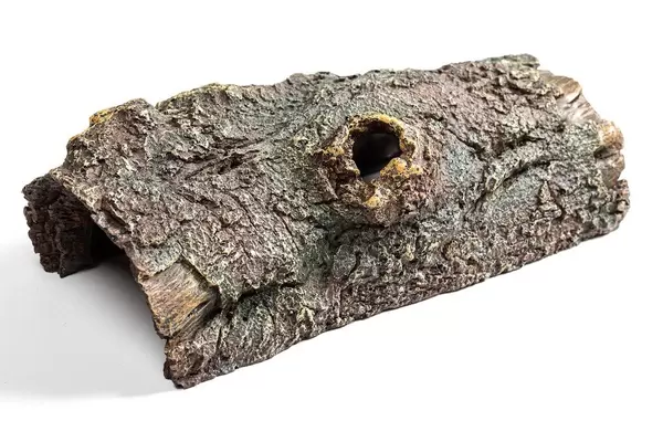 Old wood for aquarium decor on white background