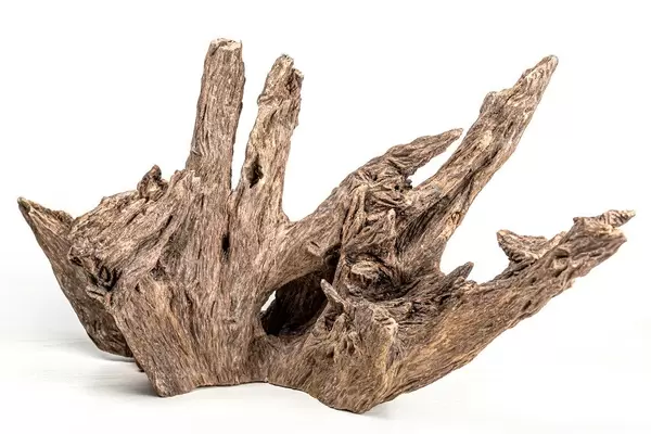 Old wooden driftwood decor for aquarium