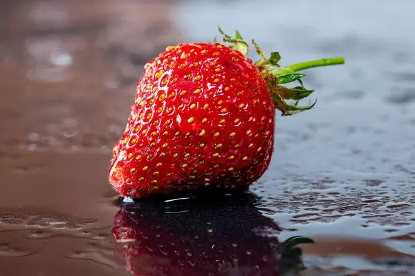 One ripe red strawberry with water drops on a dark background
