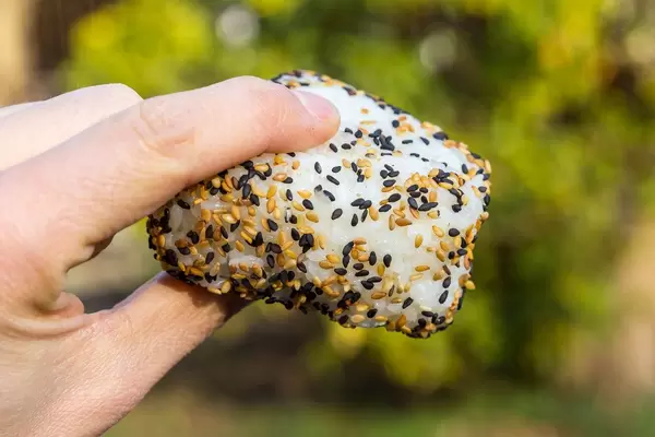 Onigiri: Japanische Reisbällchen