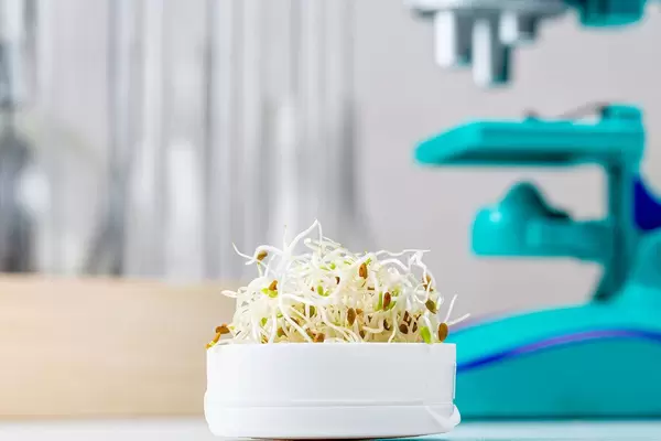 Onion microgreen on a blurry laboratory background with microscope and test tubes (Flip 2020)