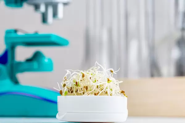 Onion microgreen on a blurry laboratory background with microscope and test tubes