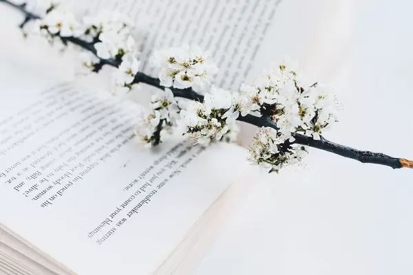 Open book and spring flowers