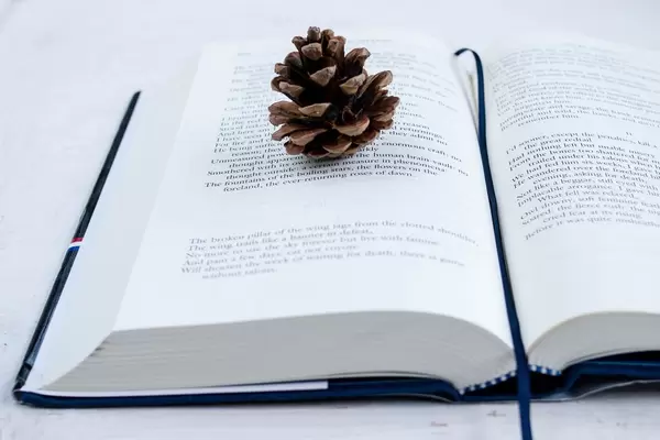 Open book  (dt. aufgeschlagenes Buch)