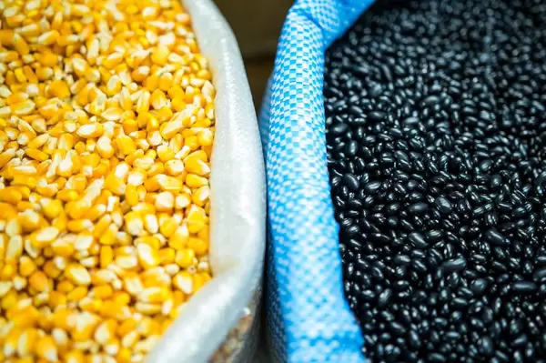 Open corn and black bean sacks