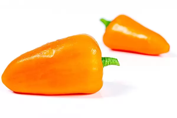 Orange bell pepper on a white background