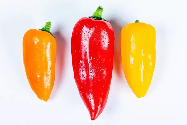 Orange, red and yellow bell peppers on white, top view