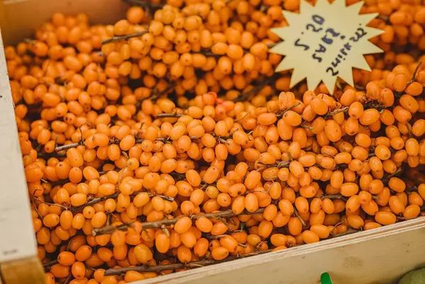 Orange Sea Buckthorn Berries Background (Flip 2019)